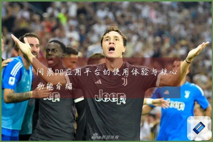 问鼎pg应用平台的使用体验与核心功能介绍