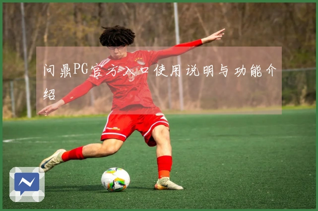 问鼎PG官方入口使用说明与功能介绍