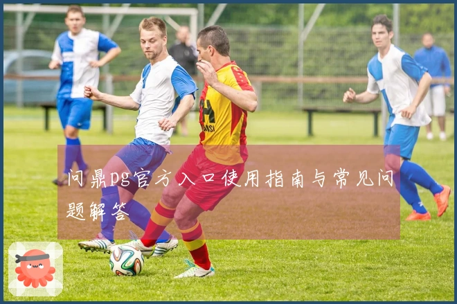 问鼎pg官方入口使用指南与常见问题解答