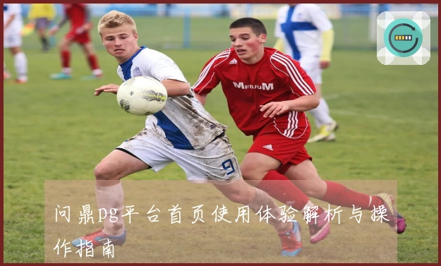 问鼎pg平台首页使用体验解析与操作指南